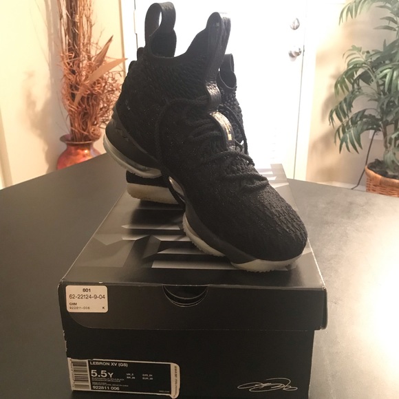 Big Kids LeBron Xv (GS) - Picture 2 of 2